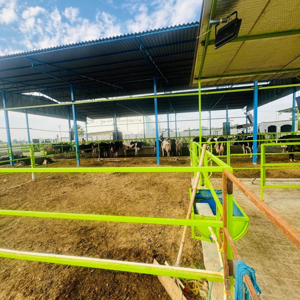 e70d4355 4a8c 4a06 8679 62eddeb4d067